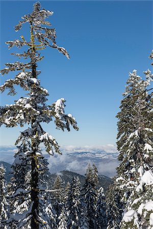snow frame - View towards Ashland from Mount Ashland Ski Resort, Southern Oregon, USA Stock Photo - Rights-Managed, Code: 700-07067236
