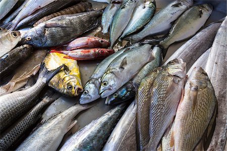 simsearch:700-02245817,k - Close-up of freshly caught fish on beach, Copacabana Beach, Rio de Janeiro, Brazil Stock Photo - Rights-Managed, Code: 700-07204230