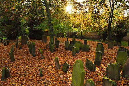 pierre tombale - Sun through Trees in Jewish Cemetery, Worms, Rhineland-Palatinate, Germany Photographie de stock - Rights-Managed, Code: 700-07202704