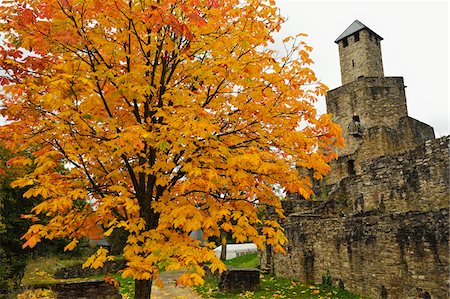 fall colors - Grimburg Castle, Hunsruck, Rhineland-Palatinate, Germany Stock Photo - Rights-Managed, Code: 700-07202701