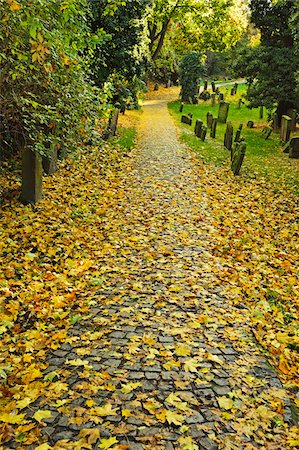 Leaf Covered Path in Autumn, Jewish Cemetery, Worms, Rhineland-Palatinate, Germany Photographie de stock - Rights-Managed, Code: 700-07202703