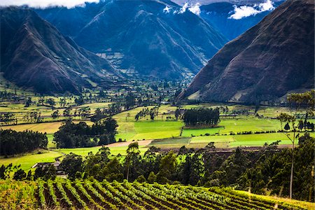 ecuador not people not amazon - Farmland, Zuleta, Imbabura Province, Ecuador Stock Photo - Rights-Managed, Code: 700-07279310