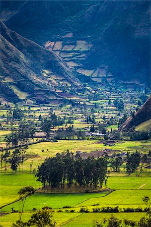 equador - Farmland, Zuleta, Imbabura Province, Ecuador Foto de stock - Direito Controlado, Número: 700-07279311