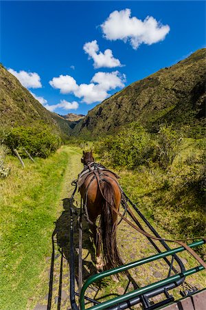 simsearch:700-03466713,k - Horse and Carriage at Hacienda Zuleta, Imbabura Province, Ecuador Stock Photo - Rights-Managed, Code: 700-07279325