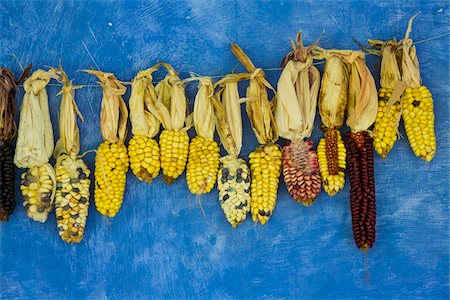 Corn Drying in Garden at Hacienda Zuleta, Imbabura Province, Ecuador Stock Photo - Rights-Managed, Code: 700-07279320