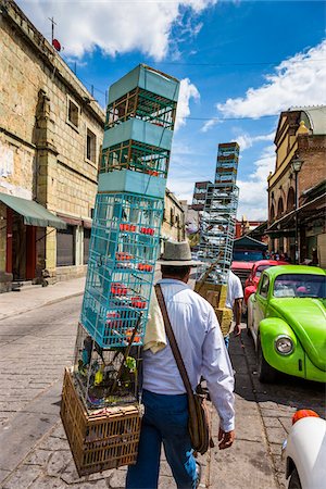 Birds for Sale at Market, Oaxaca de Juarez, Oaxaca, Mexico Fotografie stock - Rights-Managed, Codice: 700-07279524