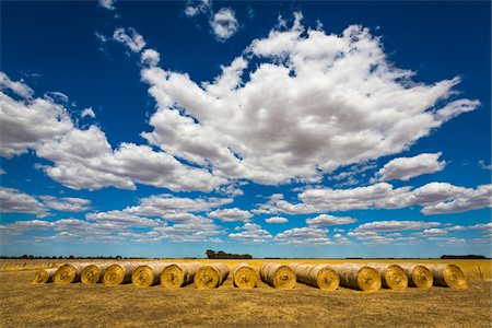 Hay Bales in Field from Hamilton Highway, Scotmans Lead, Victoria, Australia Photographie de stock - Rights-Managed, Code: 700-07453652