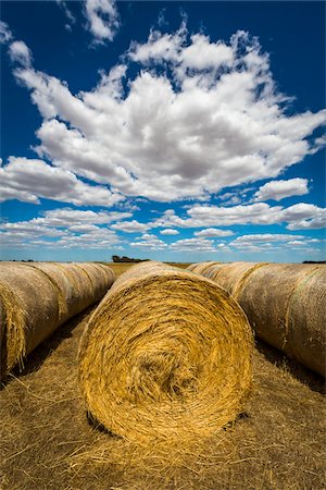 puffy clouds - Hay Bales off Hamilton Highway, Scotmans Lead, Victoria, Australia Stock Photo - Rights-Managed, Code: 700-07453653