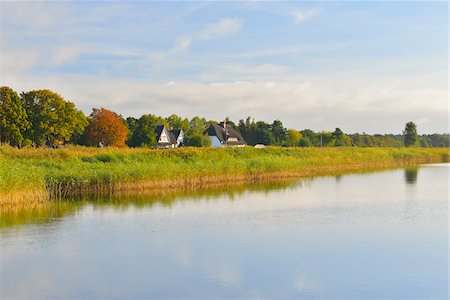 Shoreline with Reeds, Born auf dem Darss, Barther Bodden, Fischland-Darss-Zingst, Mecklenburg-Vorpommern, Germany Stock Photo - Rights-Managed, Code: 700-07487485