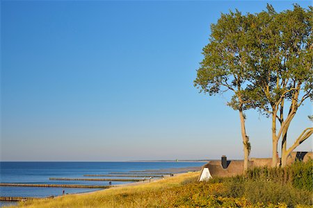 House with Reed Roof on Coast,  Ahrenshoop, Baltic Sea, Fischland-Darss-Zingst, Vorpommern-Rugen, Mecklenburg-Vorpommern, Germany Stockbilder - Lizenzpflichtiges, Bildnummer: 700-07487495