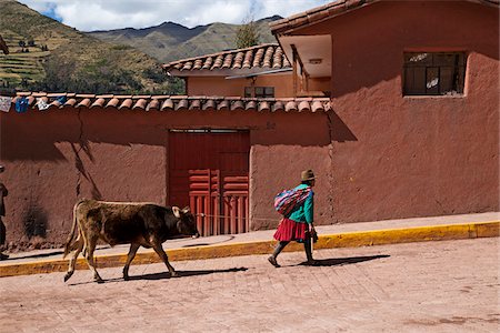 Woman in Peruvian clothing leading cow on rope on village street, Ccaccaccollo, Peru Stock Photo - Rights-Managed, Code: 700-07529095