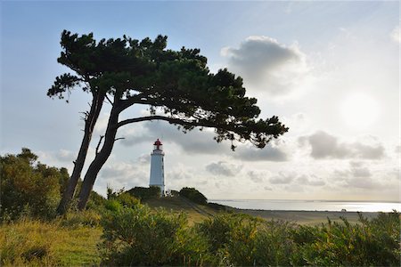 Lighthouse on the Dornbusch in the Morning, Summer, Baltic Island of Hiddensee, Baltic Sea, Western Pomerania, Germany Stock Photo - Rights-Managed, Code: 700-07599830