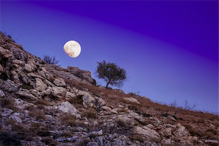 rugged landscape - Scenic view of tree on rocky hillside with moon in night sky, Matala, Crete, Greece. Stock Photo - Rights-Managed, Code: 700-07608378