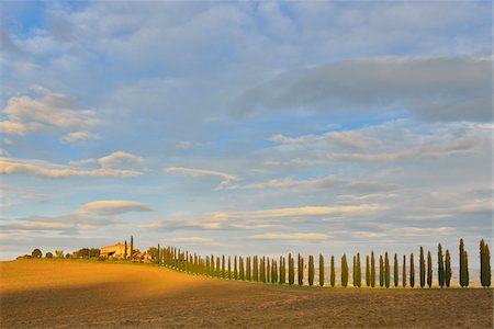 säumen - Landscape with Row of Cypress Trees and Farmhouse, Castiglione d'Orcia, Val d'Orcia, Province of Siena, Tuscany, Italy Stockbilder - Lizenzpflichtiges, Bildnummer: 700-07674837