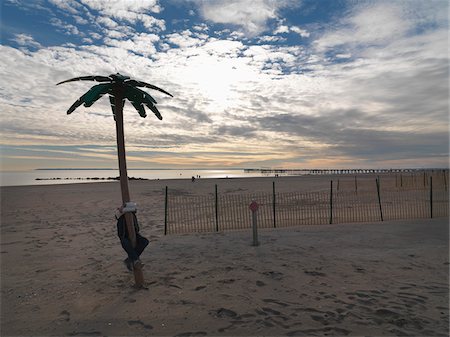 Beach at Coney Island in winter with boy climbing a plastic palm tree at closed amusement park, New York City, New York, USA Stock Photo - Rights-Managed, Code: 700-07698685