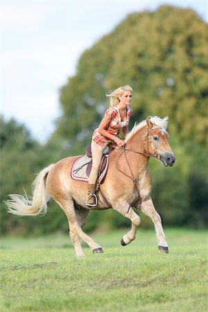 platz im vordergrund - Young woman riding a Haflinger horse in summer, Upper Palatinate, Bavaria, Germany Stockbilder - Lizenzpflichtiges, Bildnummer: 700-07734348