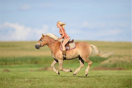 simsearch:700-08080592,k - Young woman riding a haflinger horse in a field in summer, Upper Palatinate, Bavaria, Germany Stockbilder - Lizenzpflichtiges, Bildnummer: 700-07734370