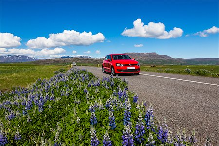 simsearch:700-07784130,k - Cars on Road and Lupins on Side of the Road, Iceland Stock Photo - Rights-Managed, Code: 700-07745172