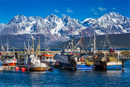 escandinavo - Fishing Port of Oldervik near Tromso, Norway Foto de stock - Direito Controlado, Número: 700-07784102