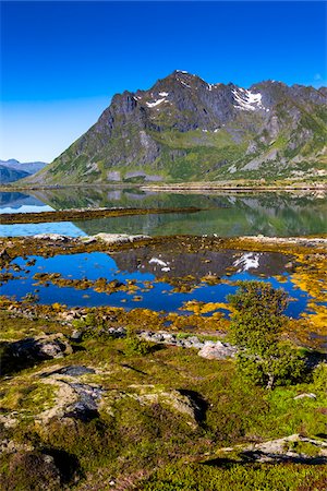 Rolvsfjord, Vestvagoya, Lofoten Archipelago, Norway Photographie de stock - Rights-Managed, Code: 700-07784262