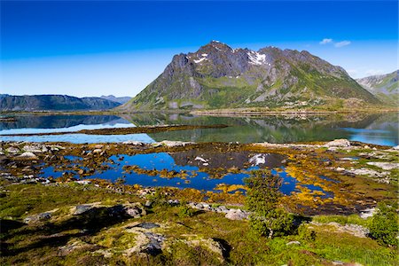 Rolvsfjord, Vestvagoya, Lofoten Archipelago, Norway Photographie de stock - Rights-Managed, Code: 700-07784263