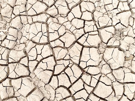 fango arido - Dry, Cracked Ground, Big Bend National Park, Texas, USA Fotografie stock - Rights-Managed, Codice: 700-07784371