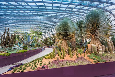 Flower Dome, Gardens by the Bay, Singapore Foto de stock - Direito Controlado, Número: 700-07802658