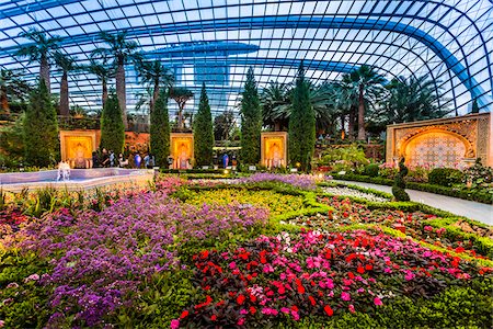 singaporean - Flower Dome, Gardens by the Bay, Singapore Stockbilder - Lizenzpflichtiges, Bildnummer: 700-07802663