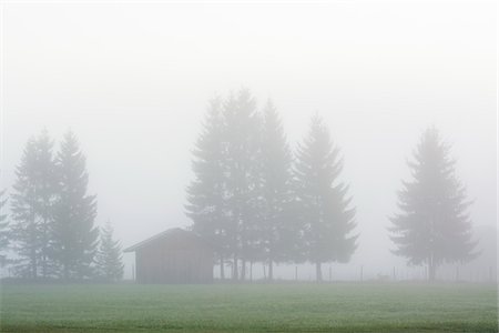 fichtenbaum - Wooden Hut in Morning Mist, Werdenfelser Land, Upper Bavaria, Bavaria, Germany Photographie de stock - Rights-Managed, Code: 700-07802883