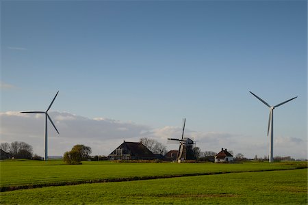 simsearch:400-05259780,k - Old and new windmills at farm Friesland, Netherlands Foto de stock - Con derechos protegidos, Código: 700-07803002