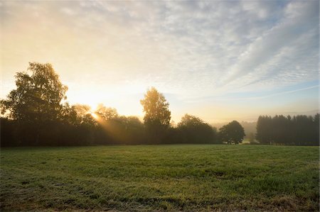 forest park - Landscape of the Bavarian Forest on an early morning in autumn, Bavarian Forest National Park, Bavaria, Germany Photographie de stock - Rights-Managed, Code: 700-07803093