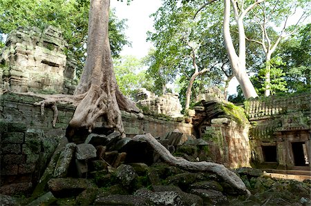 fragmented - Kapok tree growing in the ruins of Preah Khan Temple, UNESCO World Heritage Site, Angkor, Siem Reap, Cambodia, Indochina, Southeast Asia, Asia Stock Photo - Rights-Managed, Code: 700-07803172