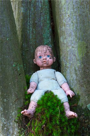 dazwischen - Dirty Doll between Trees, Hesse, Germany Stockbilder - Lizenzpflichtiges, Bildnummer: 700-07848077