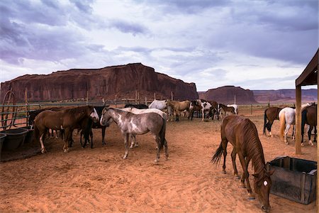 ranch - Horses on ranch with dark, cloudy sky, Monument Valley, Arizona, USA Stockbilder - Lizenzpflichtiges, Bildnummer: 700-08002508