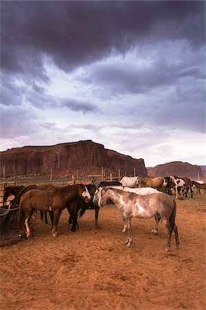 reserva indígena navajo - Horses on ranch with dark cloudy sky, Monument Valley, Arizona, USA Foto de stock - Con derechos protegidos, Código: 700-08002509
