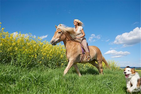 female smiling freedom adult young one person - Young woman riding a Haflinger horse with in a Kooikerhondje dog running beside, spring, Bavaria, Germany Stock Photo - Rights-Managed, Code: 700-08080576