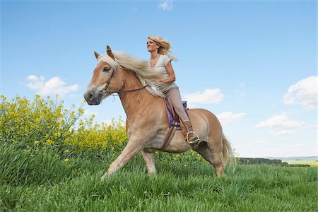 Young woman riding a Haflinger horse in a meadow in spring, Bavaria, Germany Stock Photo - Rights-Managed, Code: 700-08080578