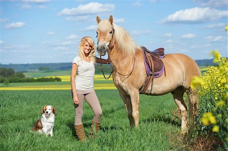 Young woman with a Kooikerhondje dog standing beside a haflinger horse in spring, Bavaria, Germany Stock Photo - Rights-Managed, Code: 700-08080602