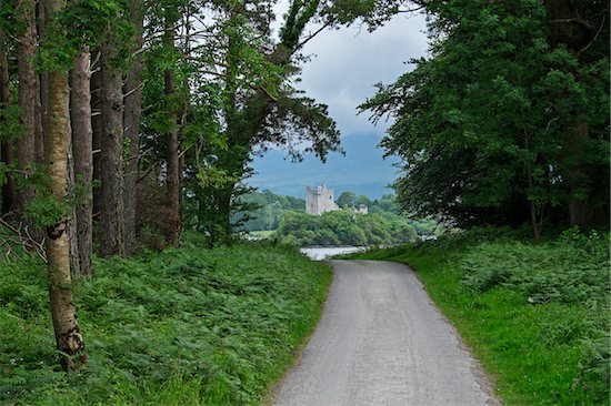 Road and scenic view to Ross Castle, Killarney National Park, County Kerry, Republic of Ireland Stock Photo - Premium Rights-Managed, Artist: Ed Gifford, Image code: 700-08102772