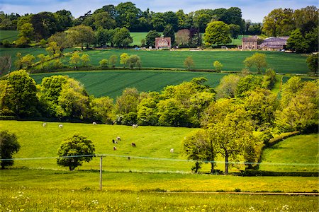 Stow-on-the-Wold, Gloucestershire, The Cotswolds, England, United Kingdom Stock Photo - Rights-Managed, Code: 700-08122101