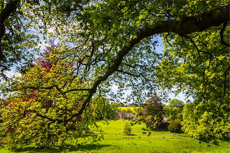 Countryside, Upper Slaughter, Gloucestershire, The Cotswolds, England, United Kingdom Stock Photo - Rights-Managed, Code: 700-08122128