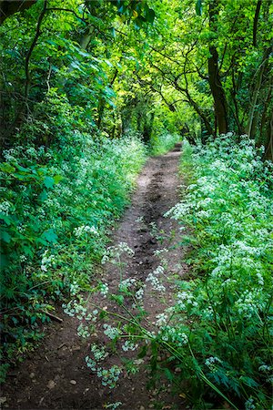 Path through countryside, Lower Slaughter, Gloucestershire,  The Cotswolds, England, United Kingdom Stock Photo - Rights-Managed, Code: 700-08122134