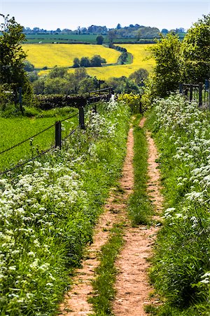 simsearch:862-03353470,k - Path through countryside and farmland, Lower Slaughter, Gloucestershire,  The Cotswolds, England, United Kingdom Stock Photo - Rights-Managed, Code: 700-08122133