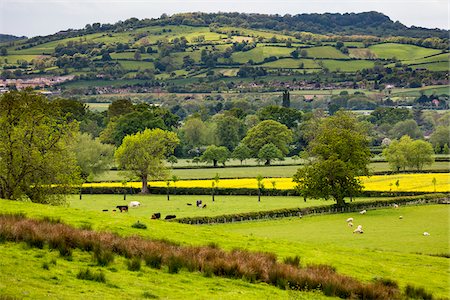 Farmland and countryside, Stanway, Gloucestershire, The Cotswolds, England, United Kingdom Photographie de stock - Rights-Managed, Code: 700-08122144