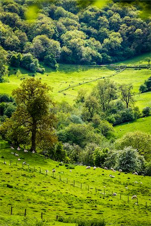 säumen - Countryside, Snowshill, Worcestershire, The Cotswolds, England, United Kingdom Stockbilder - Lizenzpflichtiges, Bildnummer: 700-08122154