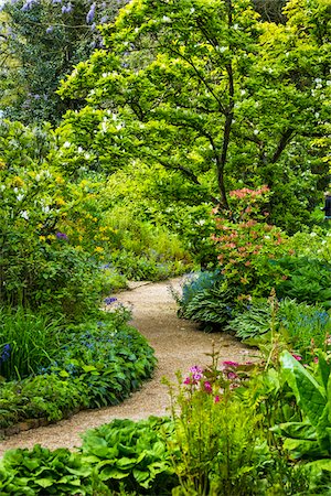 summer gardens - Pathway through Hidcote Manor Garden, Hidcote Bartrim, near Chipping Campden, Gloucestershire, The Cotswolds, England, United Kingdom Stock Photo - Rights-Managed, Code: 700-08122160