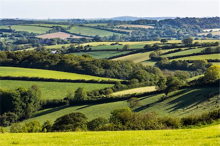 Farmland near Fowey, Cornwall, England, United Kingdom Foto de stock - Con derechos protegidos, Código: 700-08122229