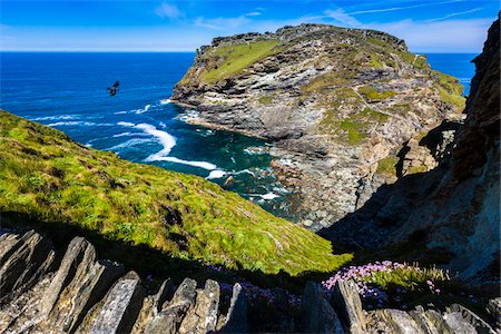 Remains of Tintagel Castle, Tintagel, Cornwall, England, United Kingdom Photographie de stock - Rights-Managed, Code: 700-08122239