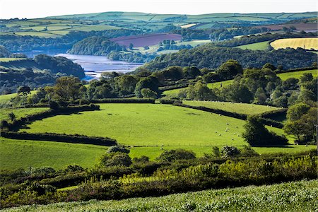 england scenic not city - Farmland near Fowey, Cornwall, England, United Kingdom Stock Photo - Rights-Managed, Code: 700-08122231