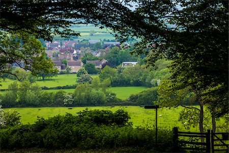 simsearch:700-04424927,k - Chipping Campden, Gloucestershire, Cotswolds, England, United Kingdom Foto de stock - Con derechos protegidos, Código: 700-08145781